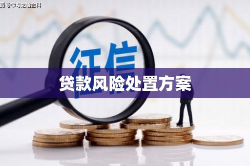 罗田贷款风险处置方案