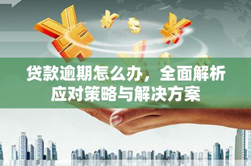 罗田贷款逾期怎么办，全面解析应对策略与解决方案