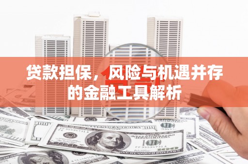 罗田贷款担保，风险与机遇并存的金融工具解析