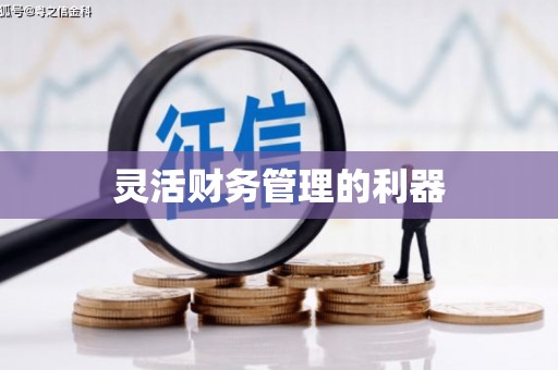 罗田灵活财务管理的利器