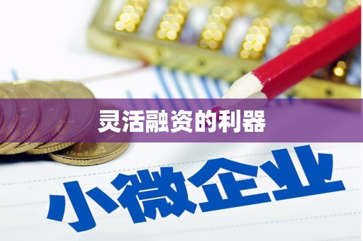 罗田灵活融资的利器