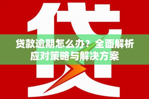 罗田贷款逾期怎么办？全面解析应对策略与解决方案