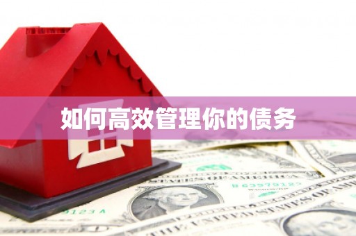 罗田如何高效管理你的债务
