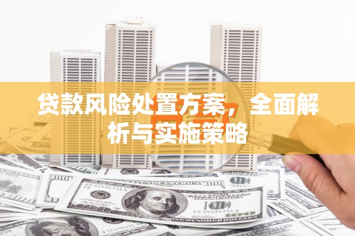 罗田贷款风险处置方案，全面解析与实施策略