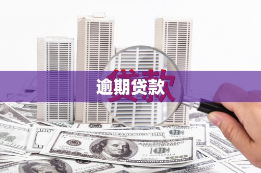 罗田逾期贷款